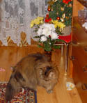 Kristnka s kytkou