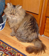Kristnka