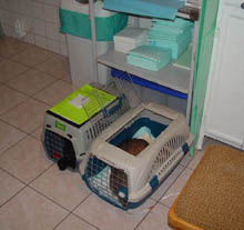 Hospitalizace 