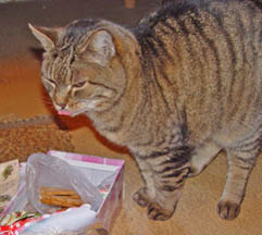 Mour s pernky_29.12.11