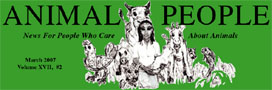 Animal People