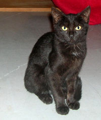 Tina