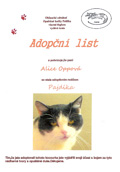 Adopn list