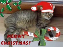 Santa