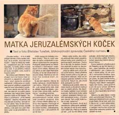 Zvtit obrzek