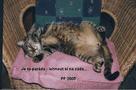 Poslala paní Eva Spiesová