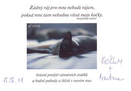 Barbara, Mikroazyl kočičáků z Liberce