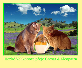 Poslala paní Iva Hlaváčková