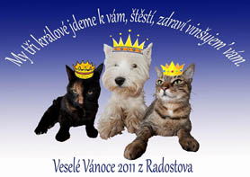 Veselé Vánoce 2011 z Radostova