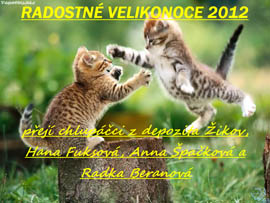 Vesel Velikonoce ze ikova