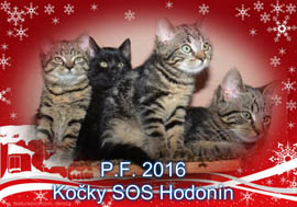 PF 2016_SOS Koky Hodonn