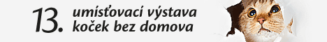 Umisovac vstava