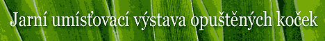 V�stava pro ko�ku
