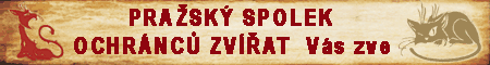 umistovaci_vystava