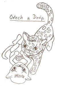Oech a Drp - Pavla Stakov