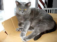 Sally