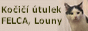 Ko�i�� �tulek FELCA, Louny