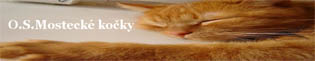 O.S.Mosteck� ko�ky