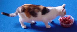Pepika